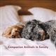 ANSC 250: Companion Animals in Society (2023 edition) eText iPromise